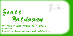 zsolt moldovan business card